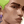 gekko