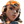 raze